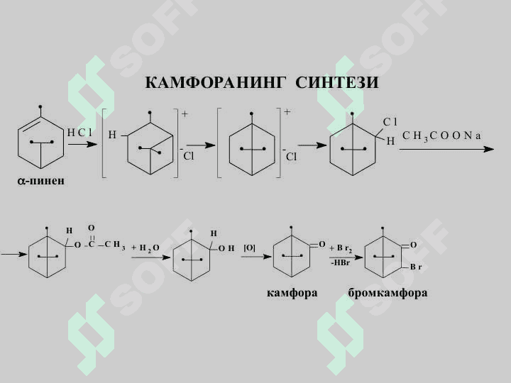 МАВЗУ :  ЛИПИДЛАР. СOВУНЛАНМАЙДИГАН  ЛИПИДЛАР. ТЕРПЕНЛАР ВА СТЕРОИДЛАР. 7