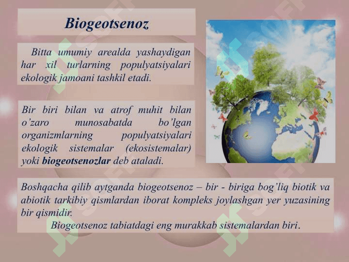 Ekosistema to’g’risida ta’limot 2