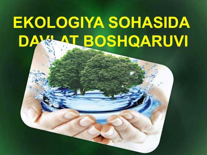 Ekologiya sohasida  davlat boshqaruvi