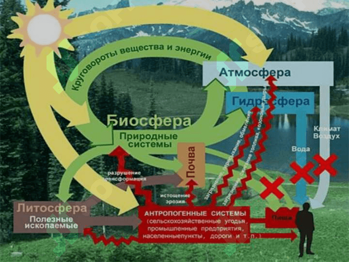 Biosfera va uni muhofaza qilish 4