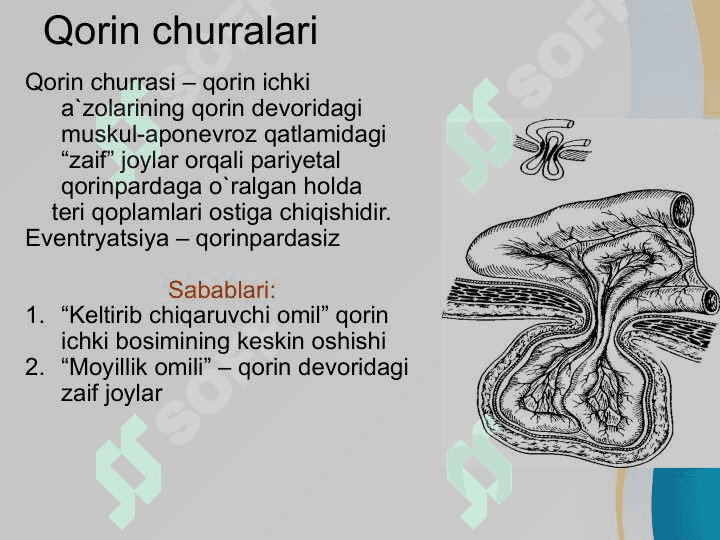 Qorin old va yon devori churralari va ularda operatsiyalar 6