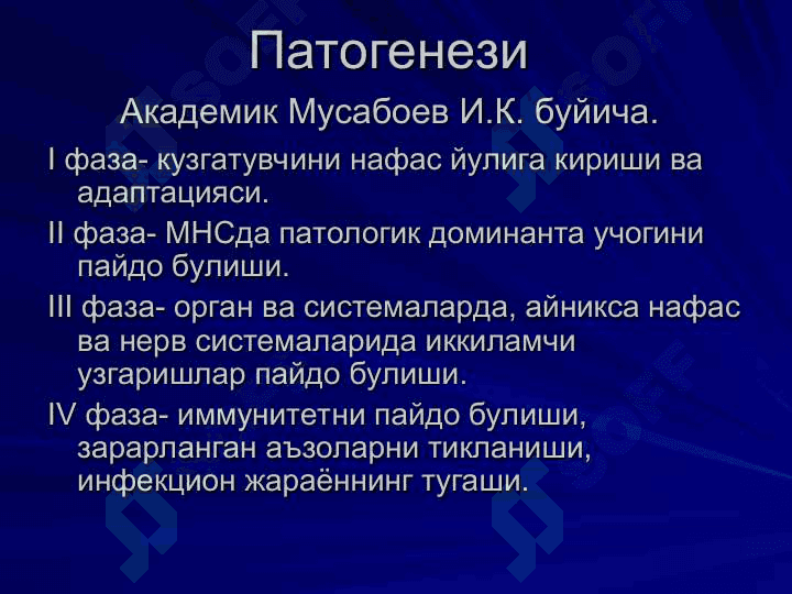 КЎКЙЎТАЛ 7