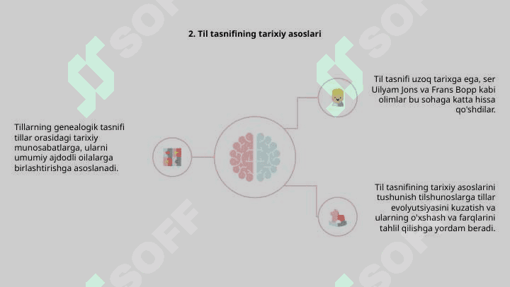 Tilning genealogik tasnifi 4
