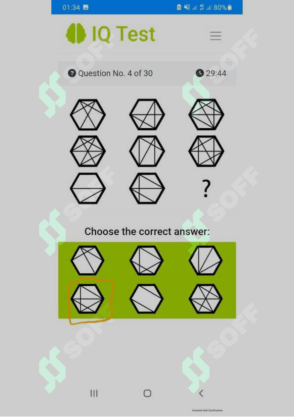 Argos IQ testi 4