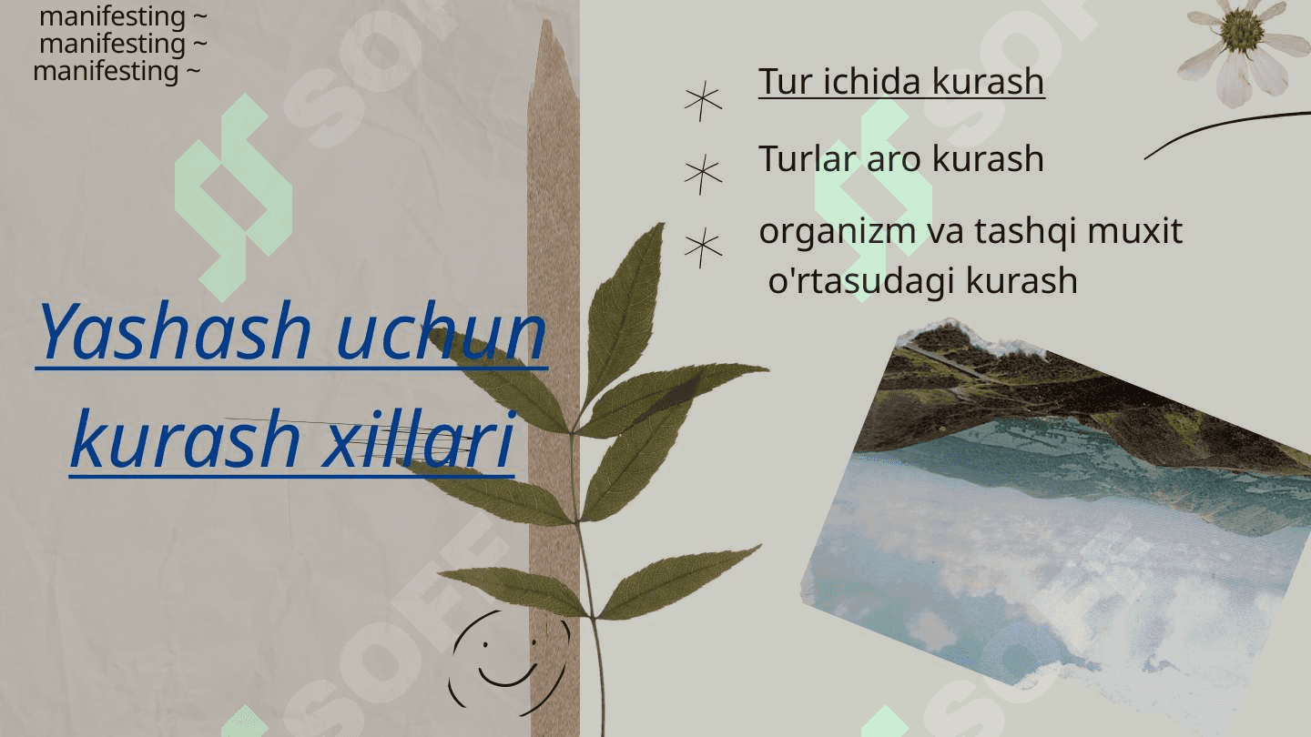 Yashash uchun kurash 2