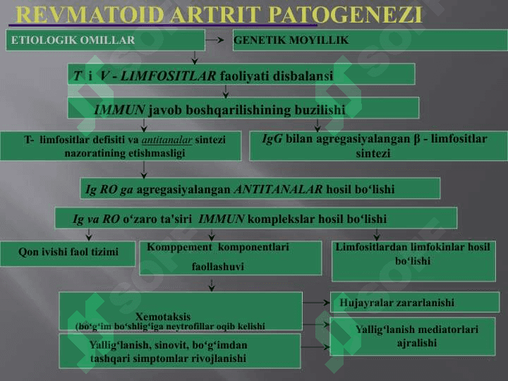 REVMATOID ARTRIT 3
