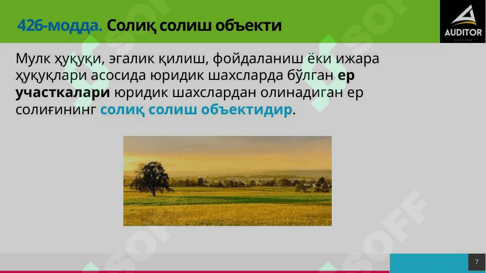 Ер солиғи 7