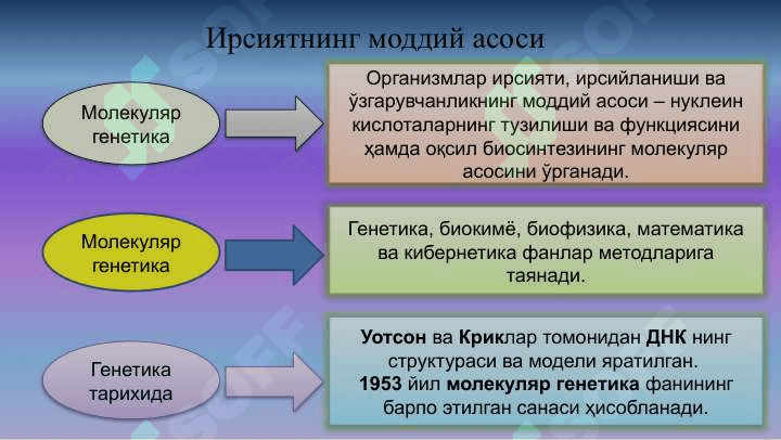 Ирсиятнинг молекуляр асослари 4