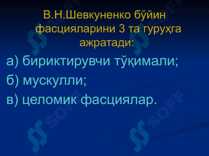 Бўйин соҳасининг клиник анатомияси 8