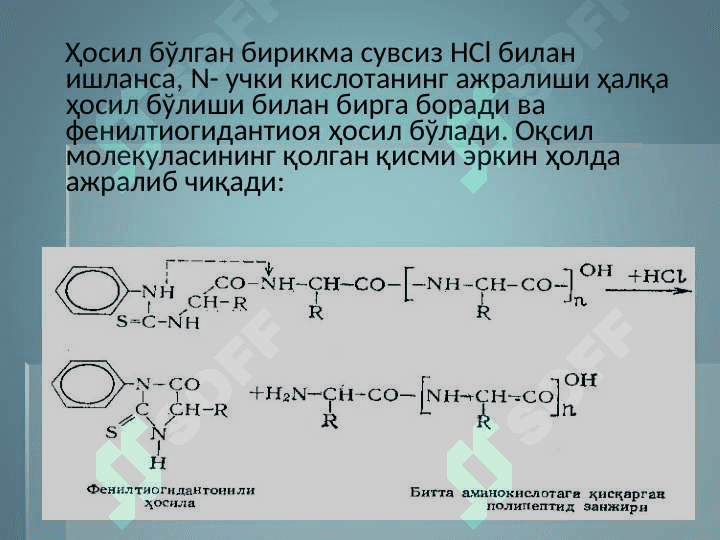 Oqsil strukturalari Оксил  структуралари 7