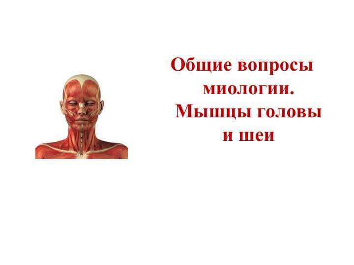 Мышцы головы и шеи  Общие вопросы миологии.
