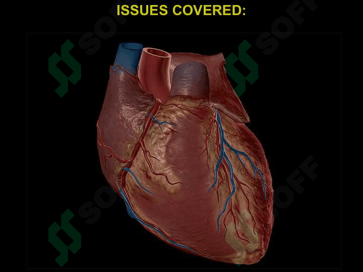 HEART 6