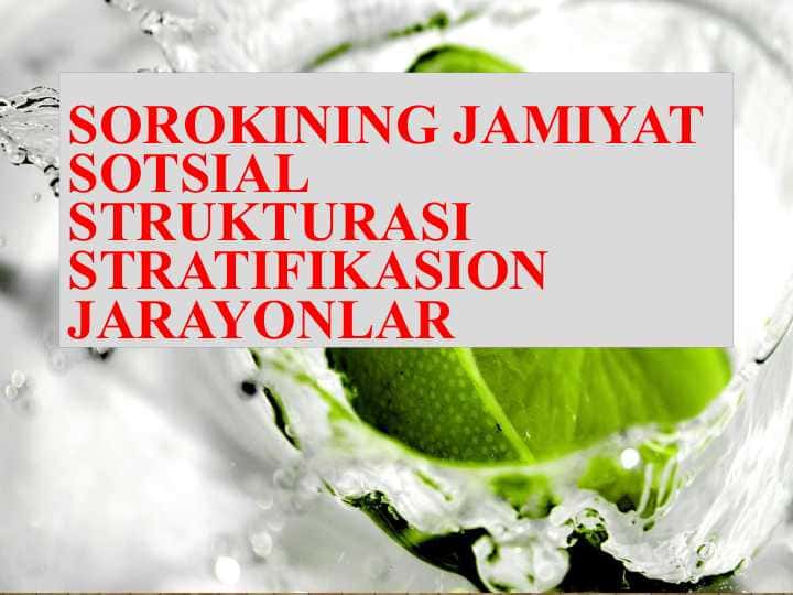 Sorokining jamiyat sotsial strukturasi stratifikasion jarayonlar