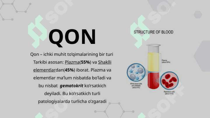 Qon va siyrak tolali biriktiruvchi to'qimalarning o'zaro aloqadorligi | Yallig'lanish jarayoni | Gistologiya 3