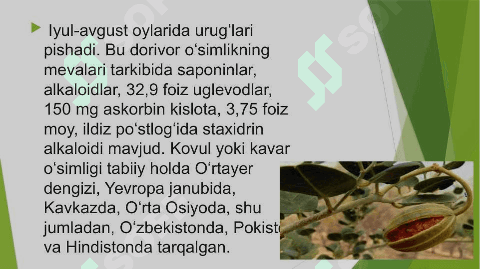 Kovuldoshlar  (Cappaceae) oilasi. 3