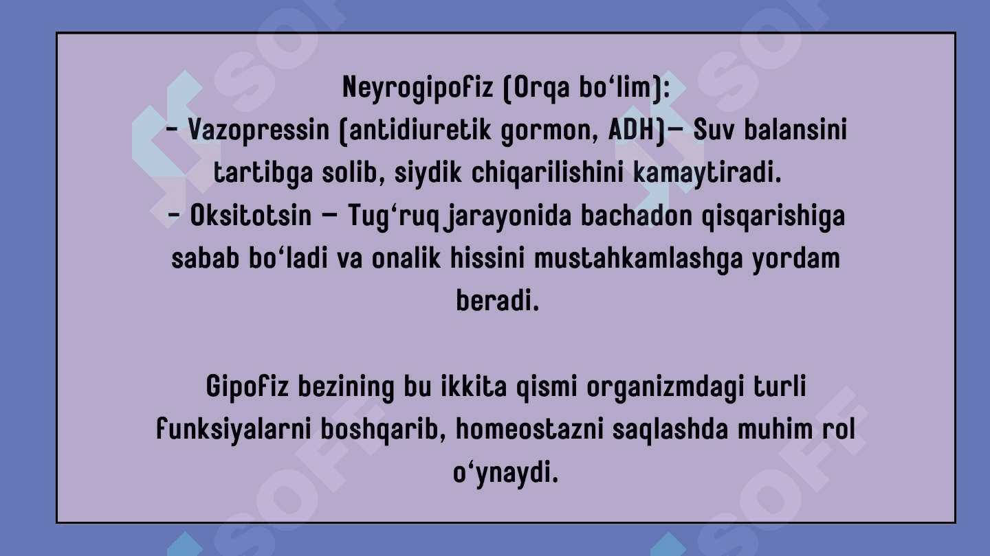 Endokrin sistemasi. Markaziy endokrin a'zolar 8