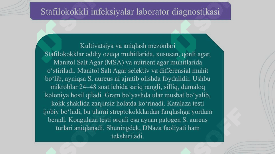 Stafilokokkli infeksiyalarning laborator diagnostikasi Streptokokkli infeksiyalarni laboratoriya diagnostikasi Pasteurellyozli infeksiyalarning laborator diagnostikasi Cho‘chqalar saramas kasalligini laborator diagnostikasi Kolibakteriozni laboratoriya diagnostikasi Salmonellyozni laboratoriya diagnostikasi 5