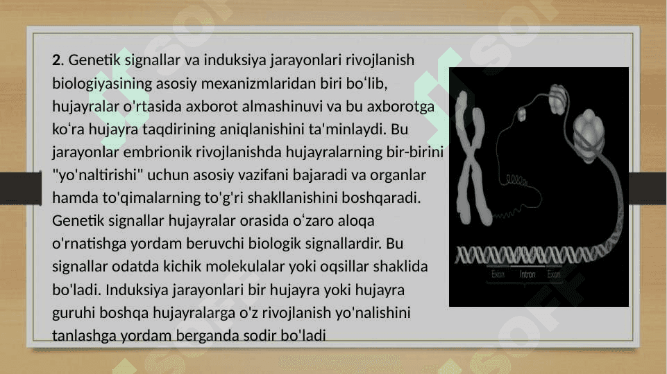 Genetik rivojlanish 3
