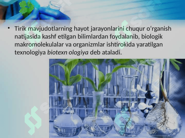 Gameta olish 2