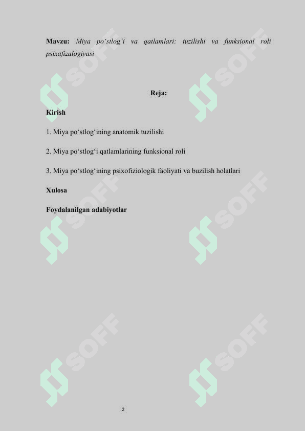 Miya po‘stlog‘i va qatlamlari  tuzilishi va funksional roli psixafizalogiyasi 2