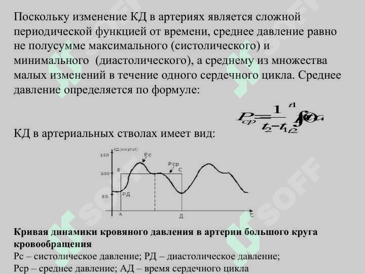 Биофизика сердца 6