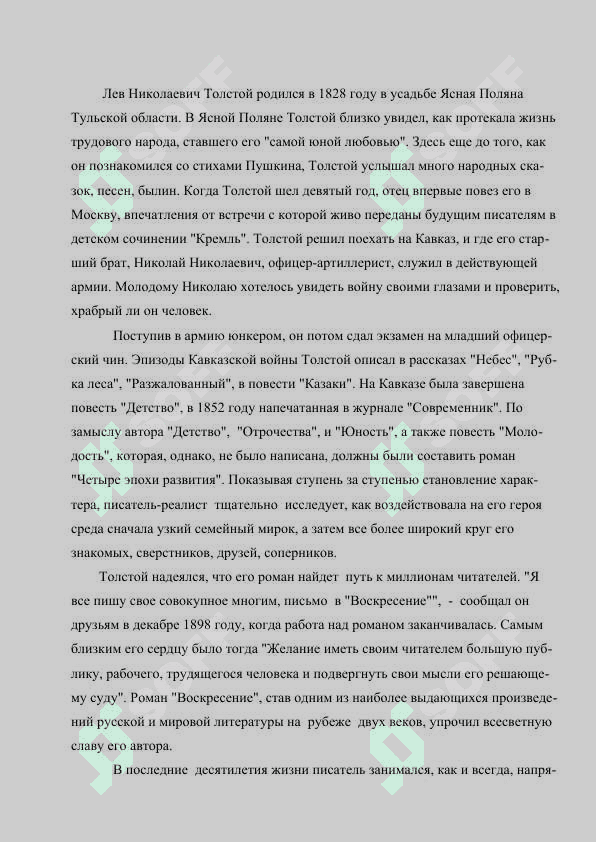 ХУДОЖЕСТВЕННЫЙ МИР Л.Н.ТОЛСТОГО.docx 3
