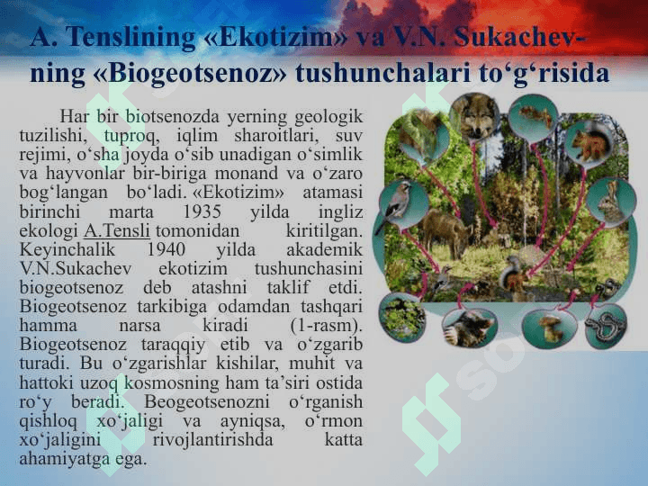 Ekotizim 3