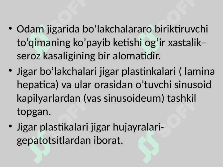 Jigar gistalogiyasi 3