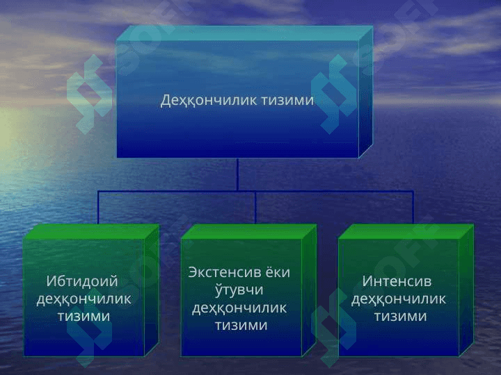 ДЕҲҚОНЧИЛИК ТИЗИМИ 6
