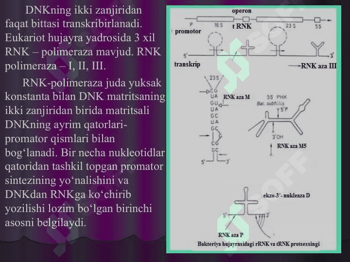 RNK protsessingi 4