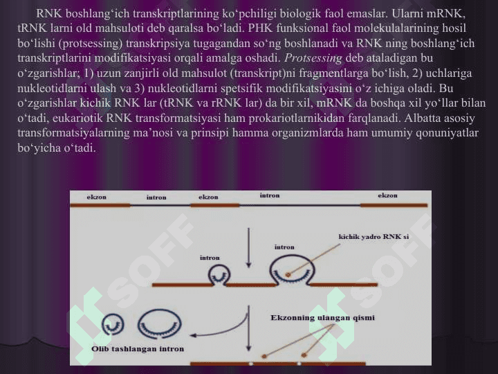 RNK protsessingi 6