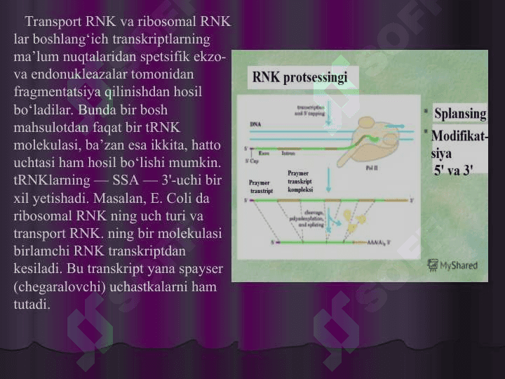 RNK protsessingi 7