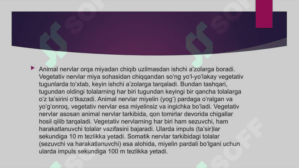 VEGETATIV NERV SISTEMASI 4