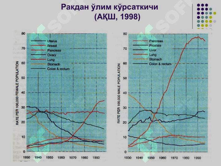 ЎСМАЛАР 5