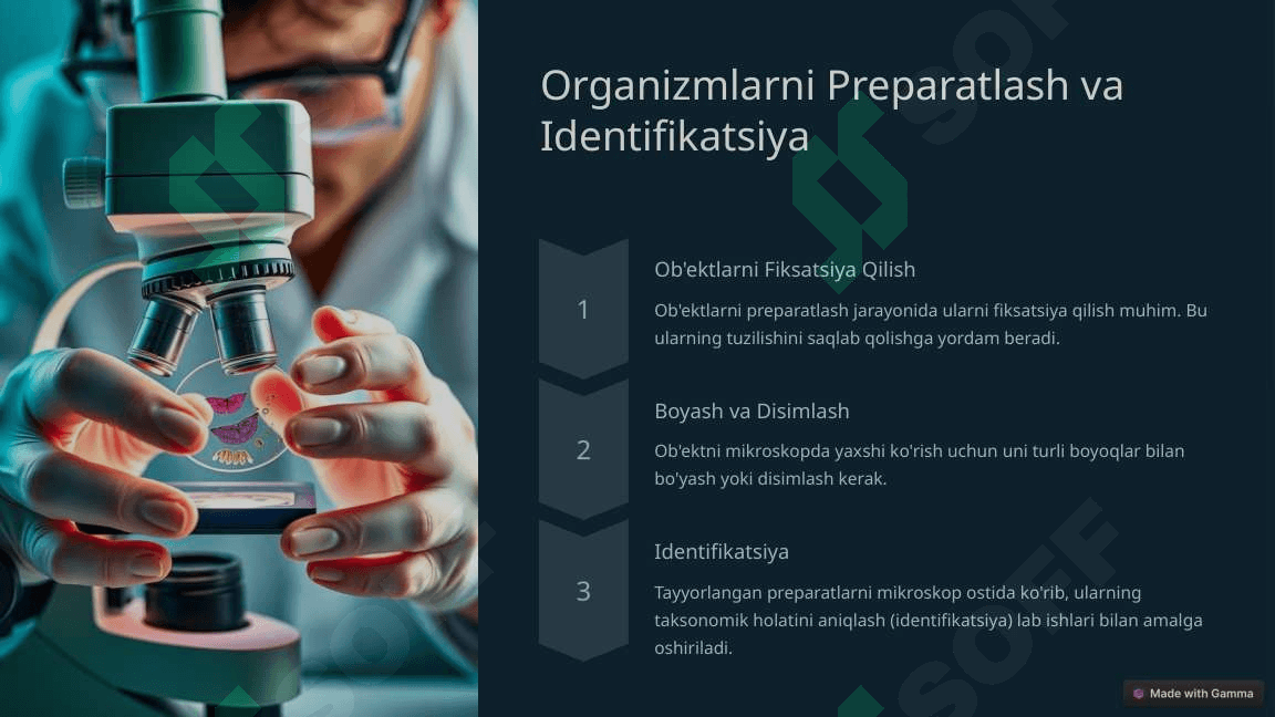 Biologik Laboratoriya va Amaliy Mashg'ulotlar 1