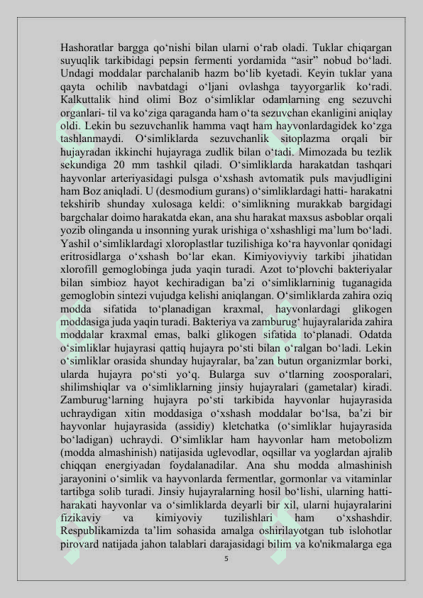 Ochiq urug'lilar bo'limi 5