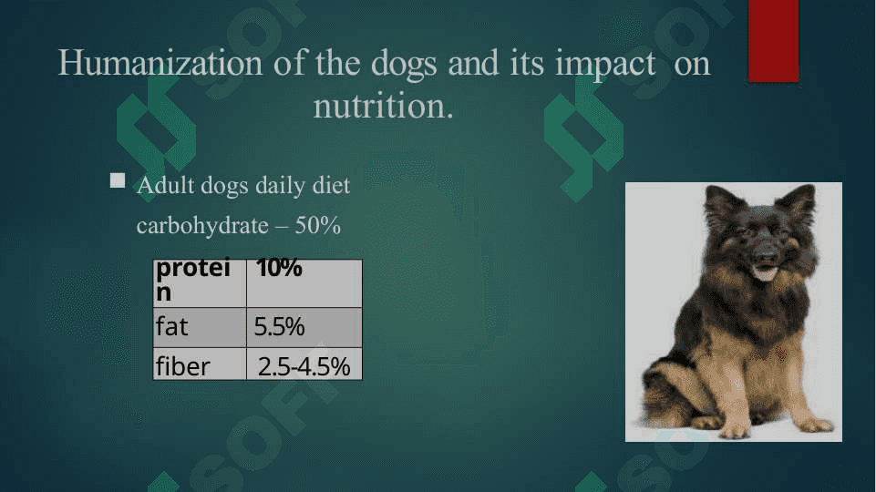 pet nutration 5