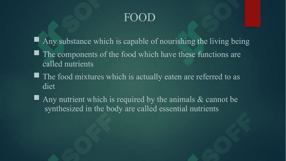 pet nutration 6