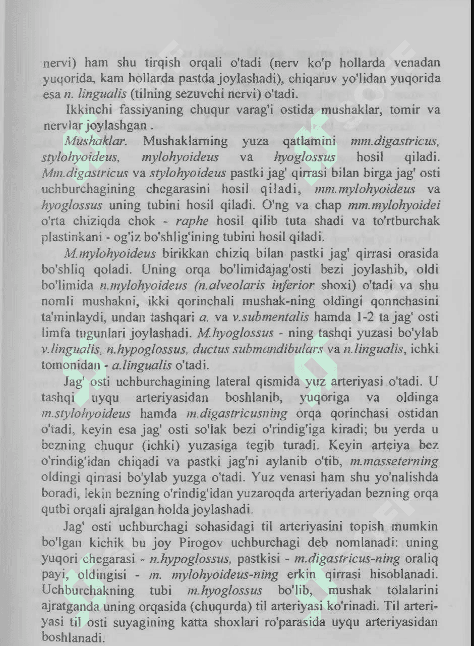 Jag'-osti uchburchagining topografiyasi 2