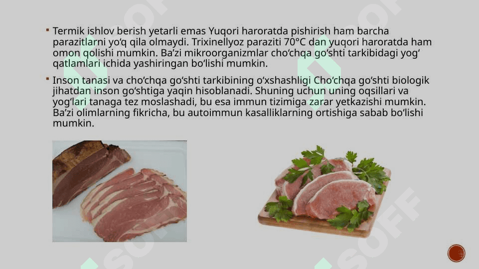 Cho`chqa go`shti 3