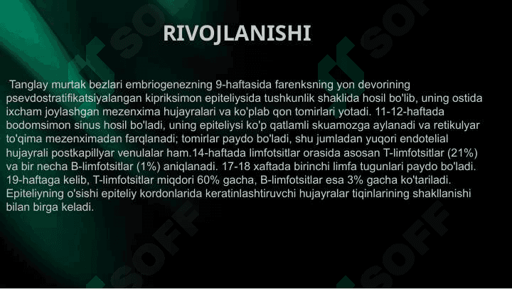 Pirogov- Valdeyer halqasi 4