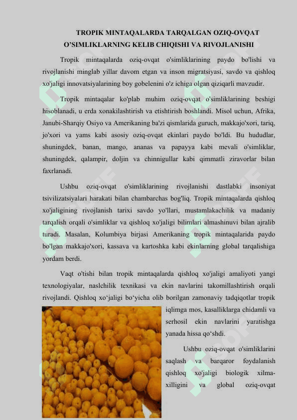 TROPIK MINTAQALARDA  TARQALGAN  OZIQ - OVQAT  O’SIMLIKLARI 5