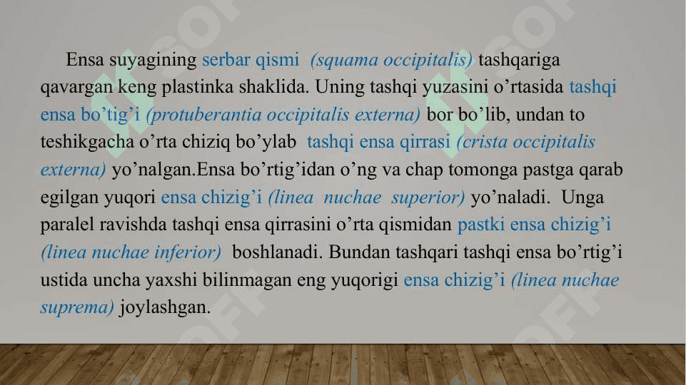 Ensa suayagi tuzilishi 4
