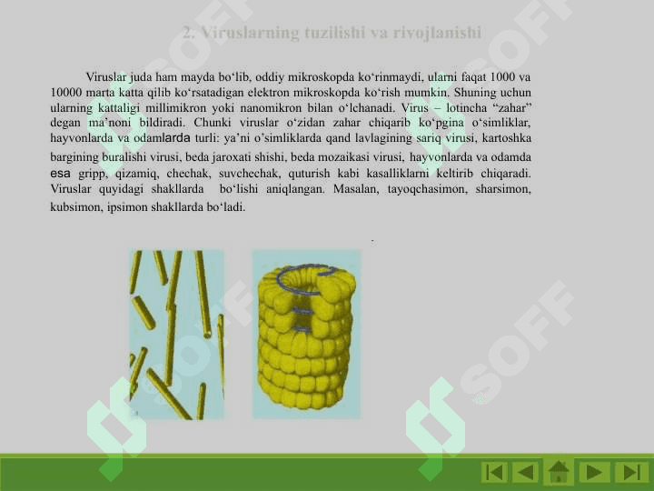 “Viruslar va bakteriofaglar” 4