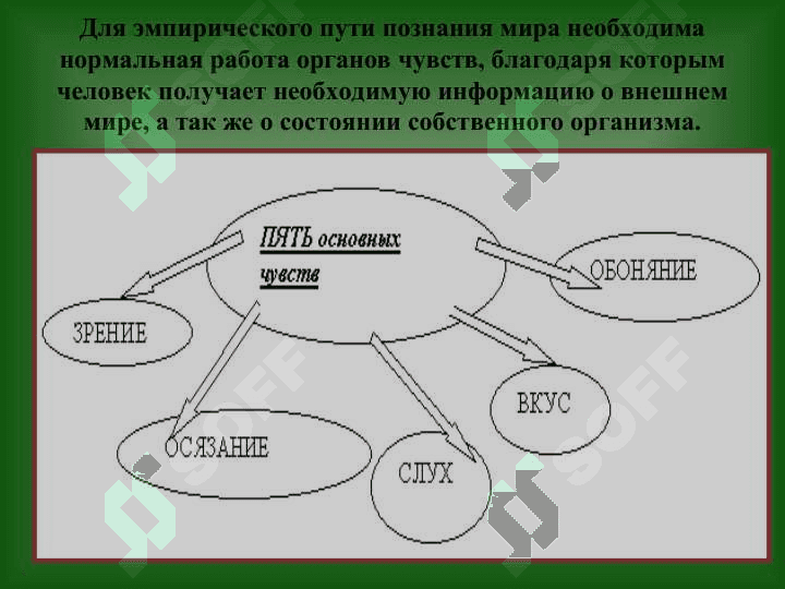 Познание окружающего мира 6