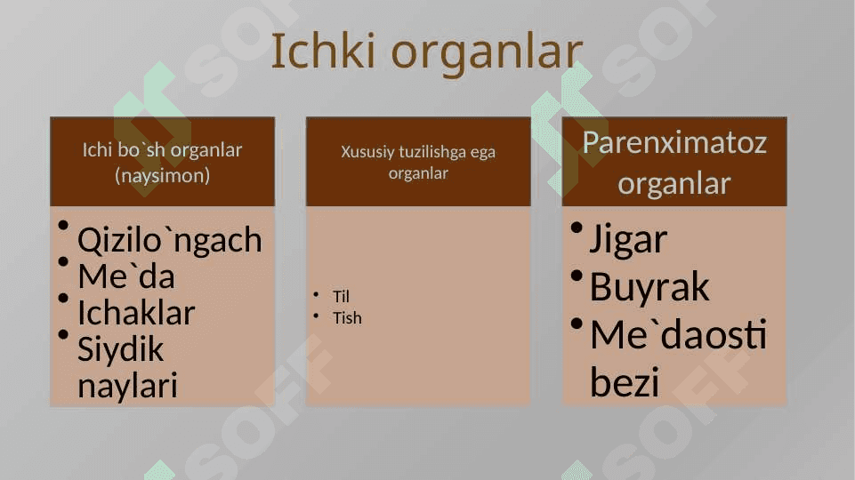 Ovqat hazm qilish 4