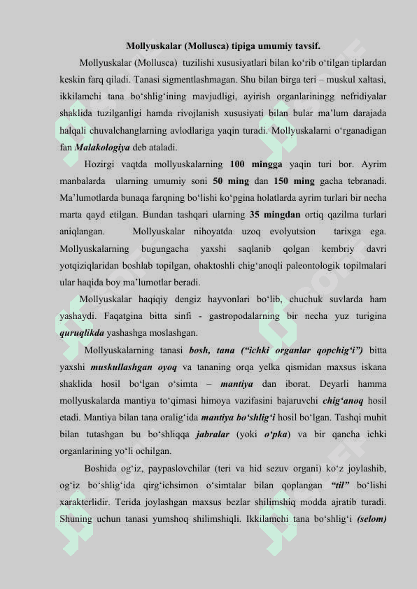 Mollyuskalar (Mollusca) tipi 3