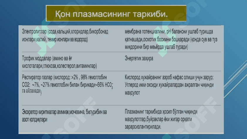 ҚОН ВА ҚОН ЯРАТИЛИШИ 7
