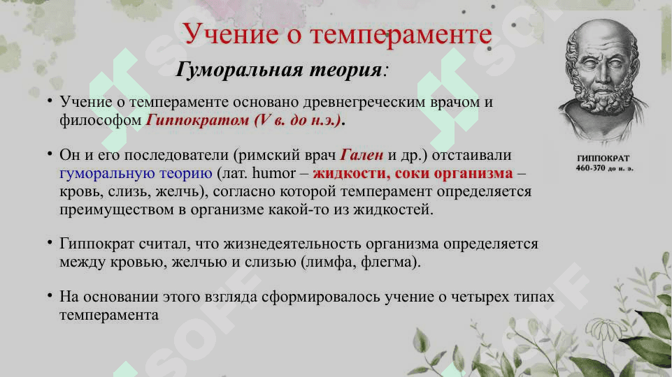 Темперамент 3