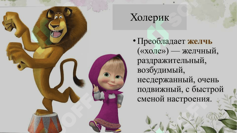 Темперамент 6